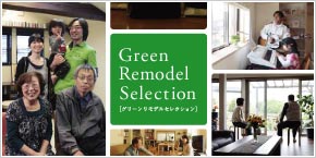 Green Remodel Selection