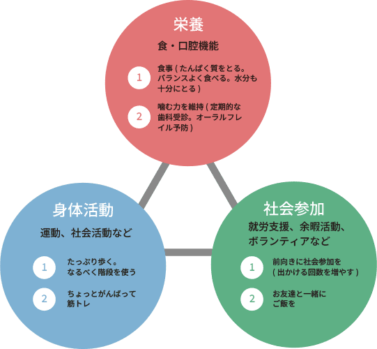 栄養/身体活動/社会参加