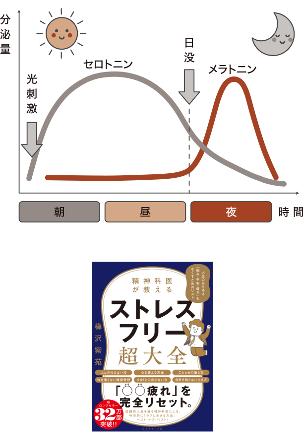 セロトニンは、午前中に作られる