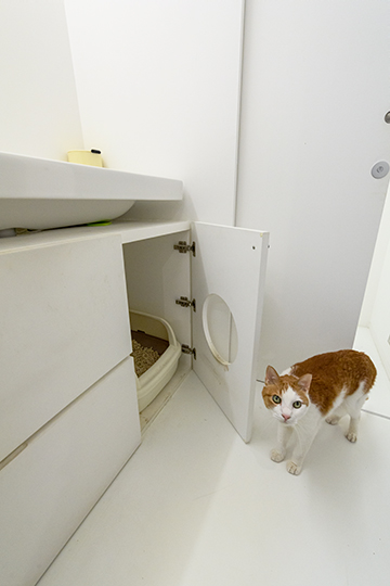 洗面所の下に猫のトイレを設置。バスルームの換気扇で臭いを屋外に逃します（写真／ジャムズ）